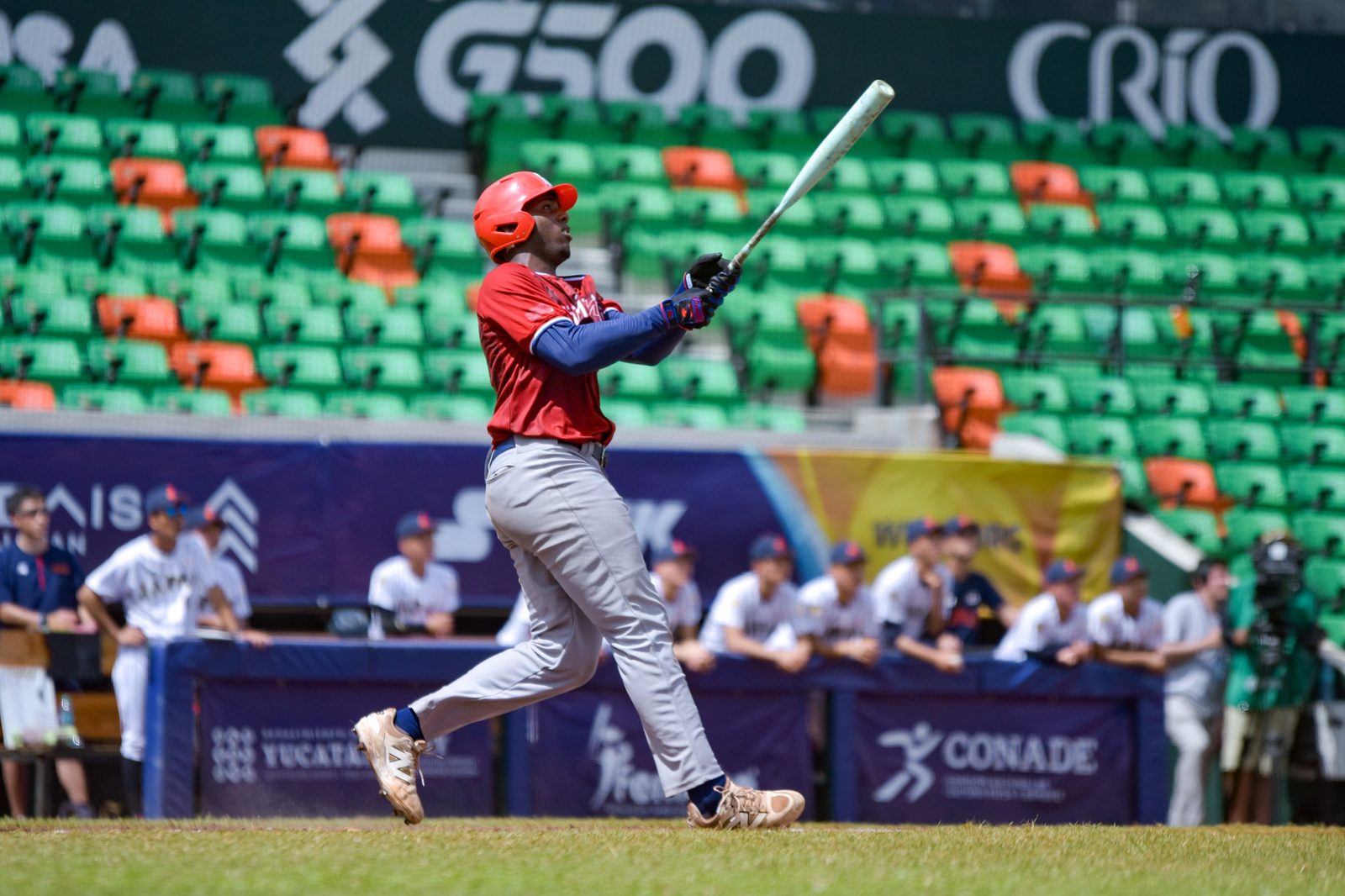 Ángel Montás (#74), líder del torneo en slugging y carreras anotadas, batea por República Dominicana ante Japón en el Parque Kukulcán de Mérida. Foto: WBSC.